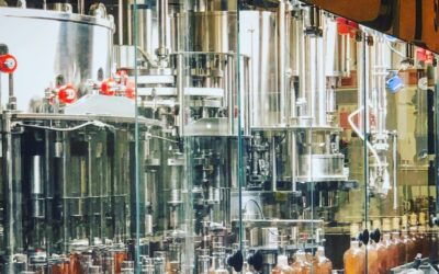 Concevoir un plan de cave de vinification