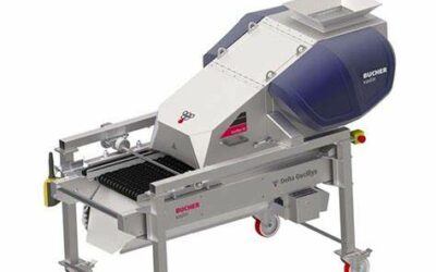 Égrappoir, érafloir : pour éliminer les rafles des cépages rouges