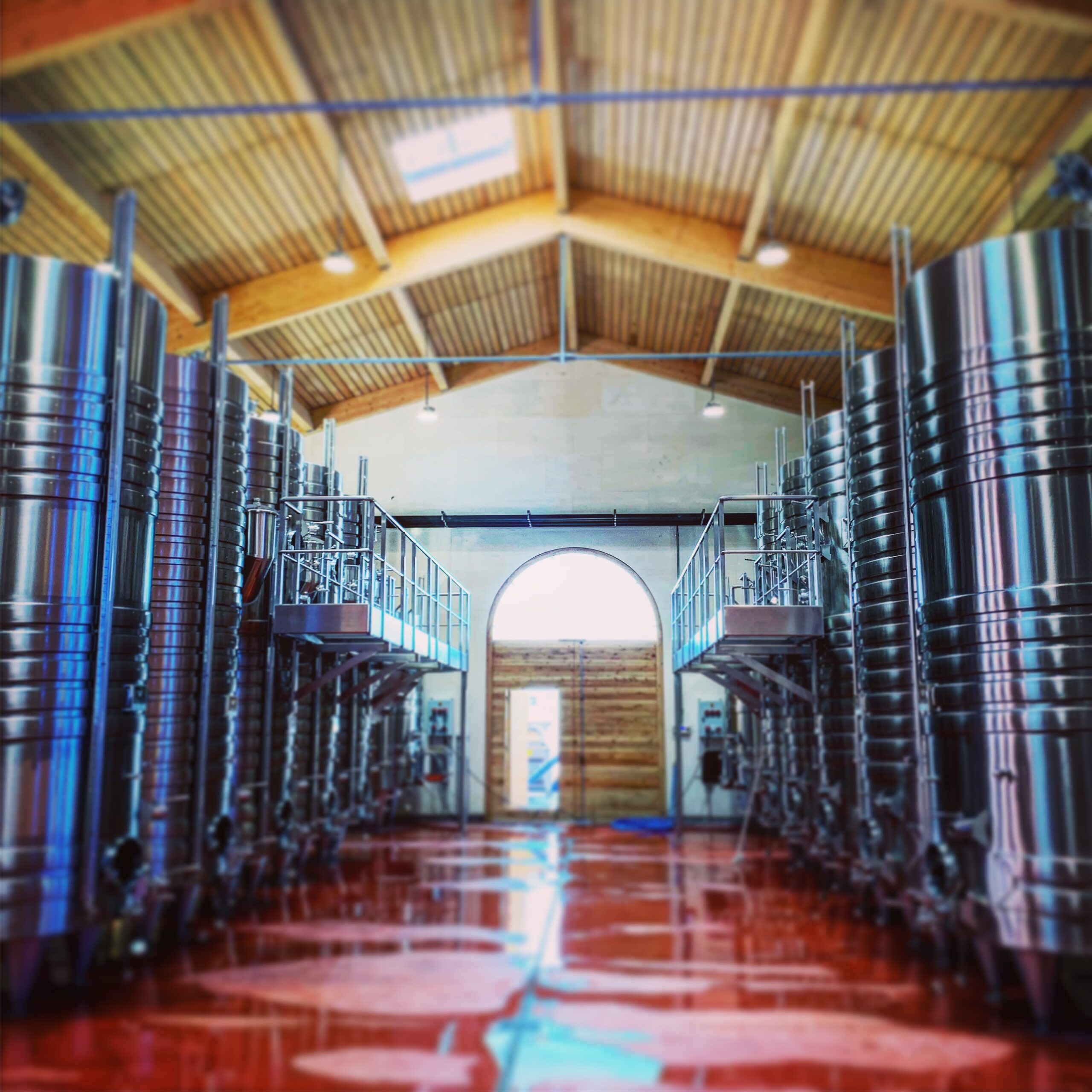 construction de cave de vinification