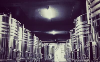 La cuve à vin inox : un choix durable