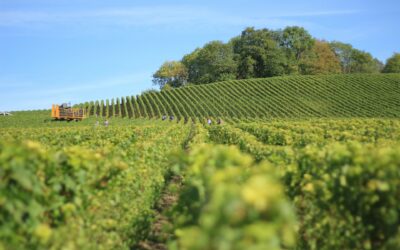 Quand matériel de viticulture rime avec biodiversité